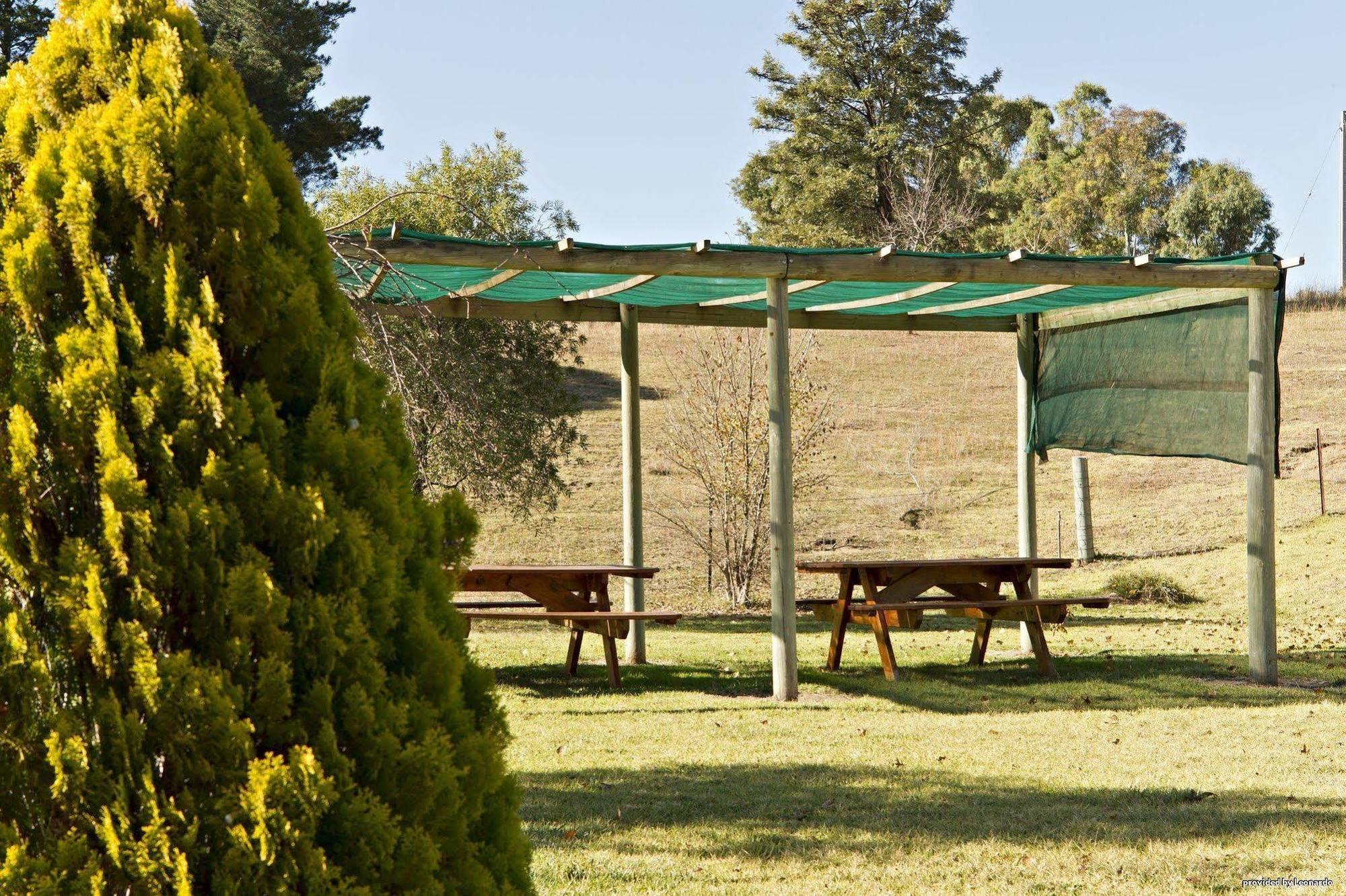 Hilltops Retreat Motor Inn Young Restaurace fotografie